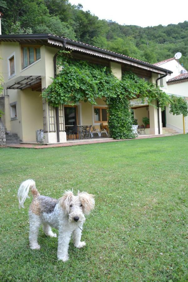 B&B Ca' Dell'Ortolan Villaga Bagian luar foto